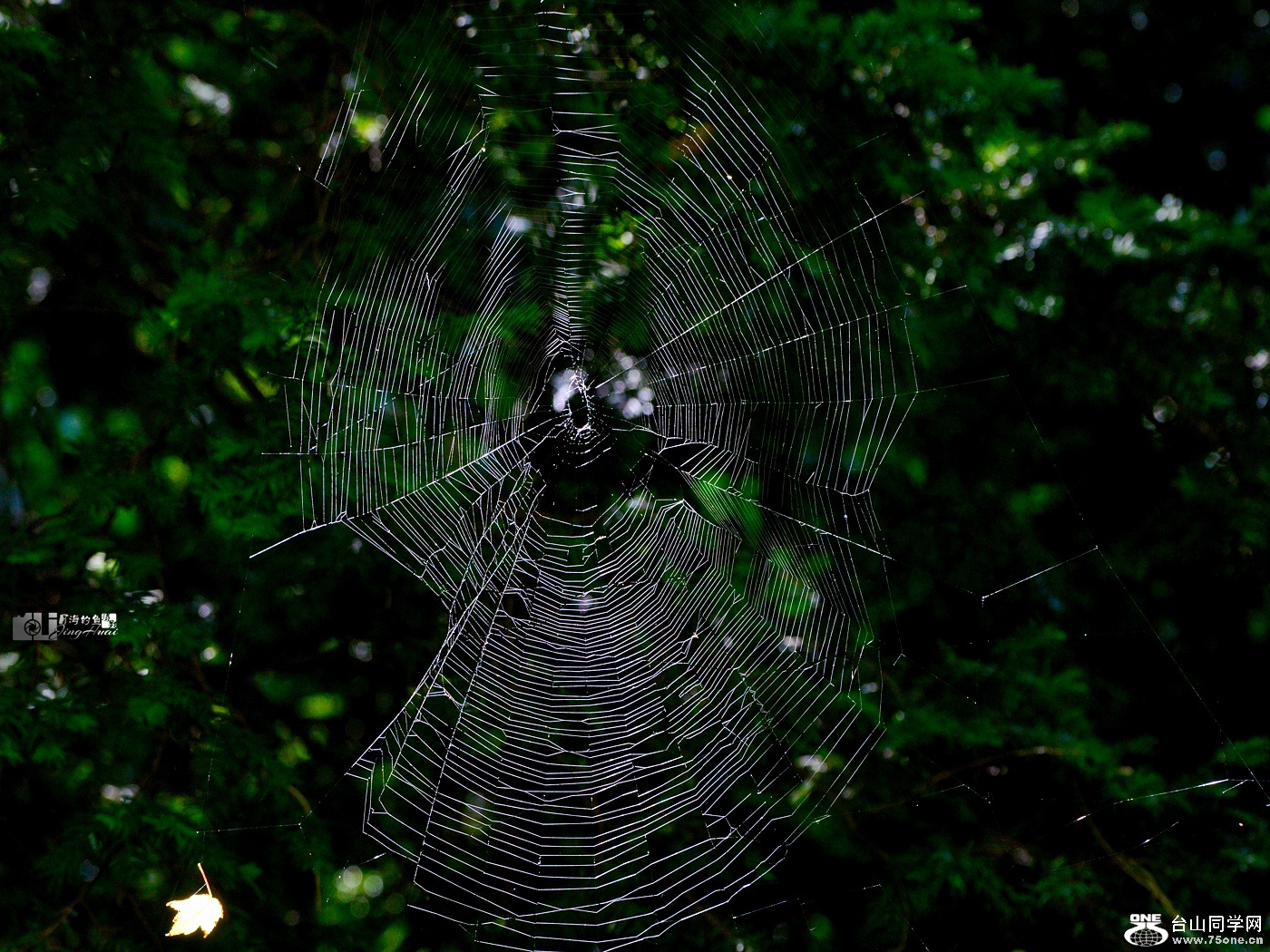 DSC_3443_.jpg