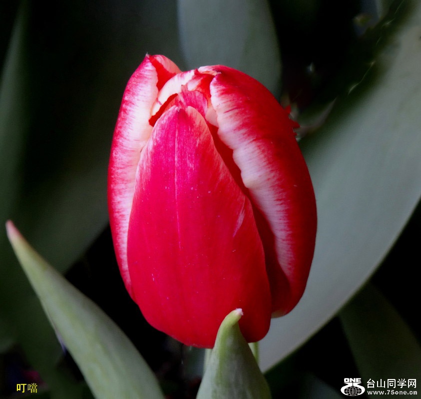 DSC00691b_2.jpg