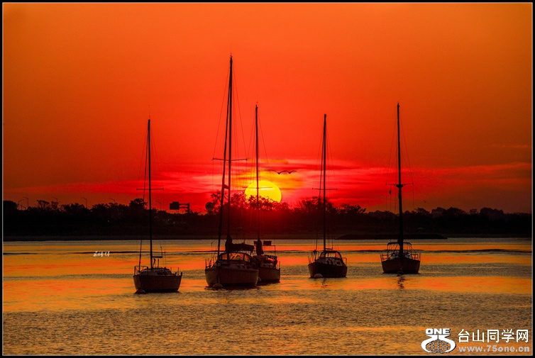 _DSC6717a_.jpg