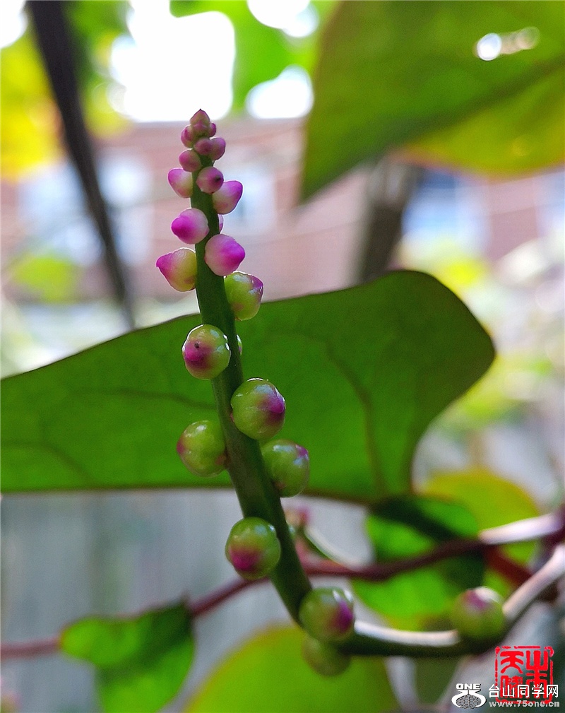 WGP_2020_09_27_12_15_29_1601223329706.jpg