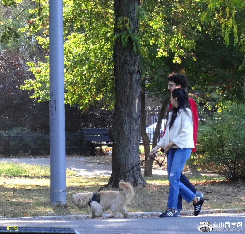 DSC07033b_1.jpg