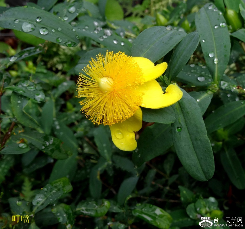 DSC04208_1.JPG