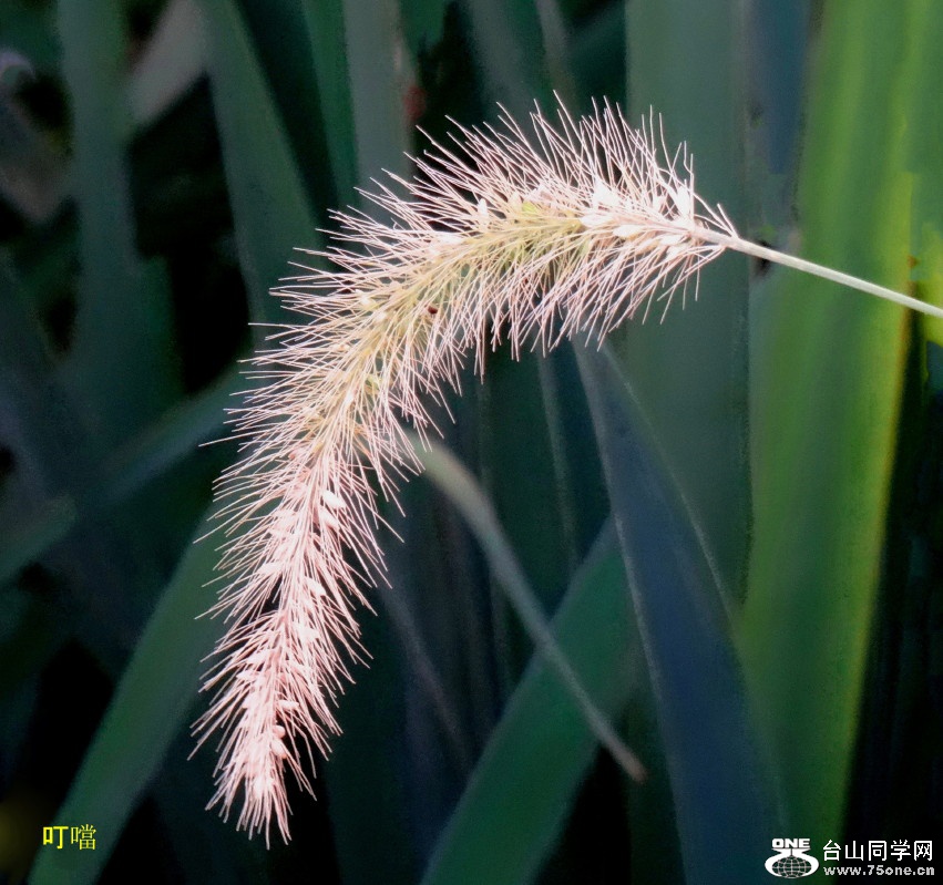DSC06949b_1.jpg