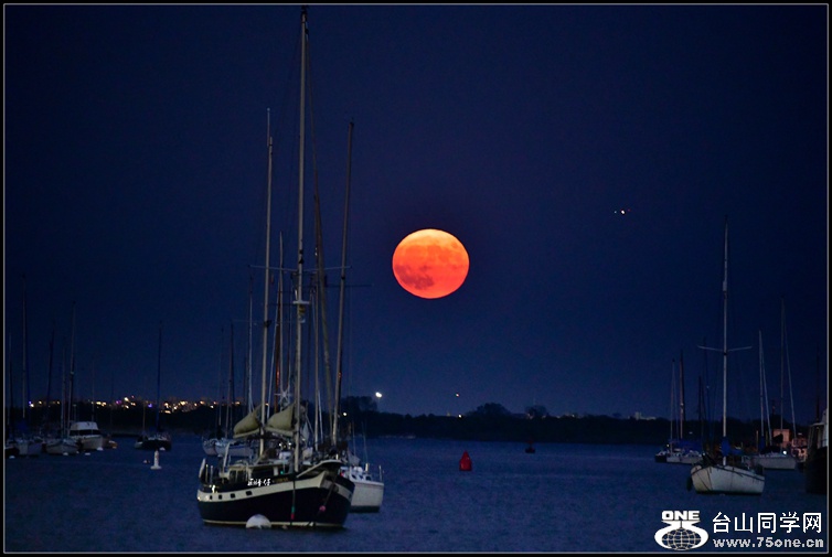 _DSC6443a_.jpg