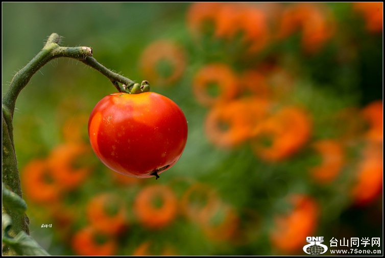 _DSC4558_.jpg