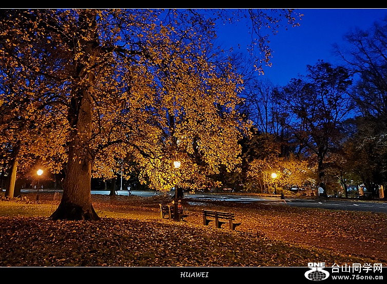 IMG_20201113_190906_.jpg