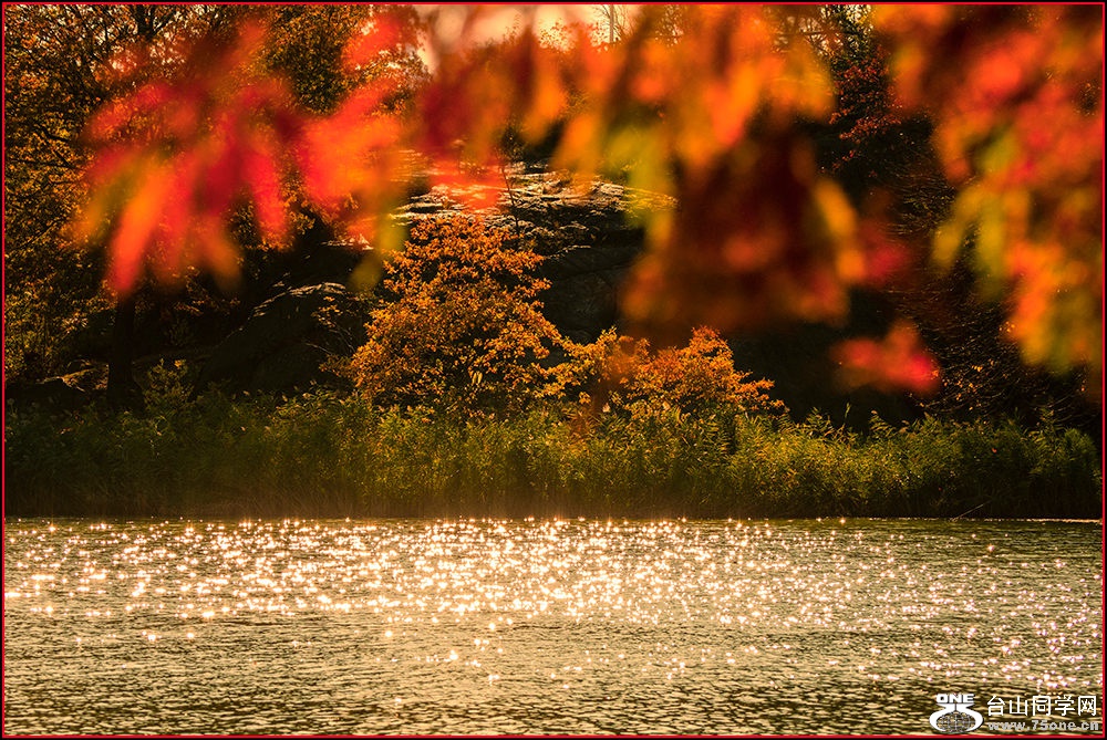 _DSC3059_.jpg