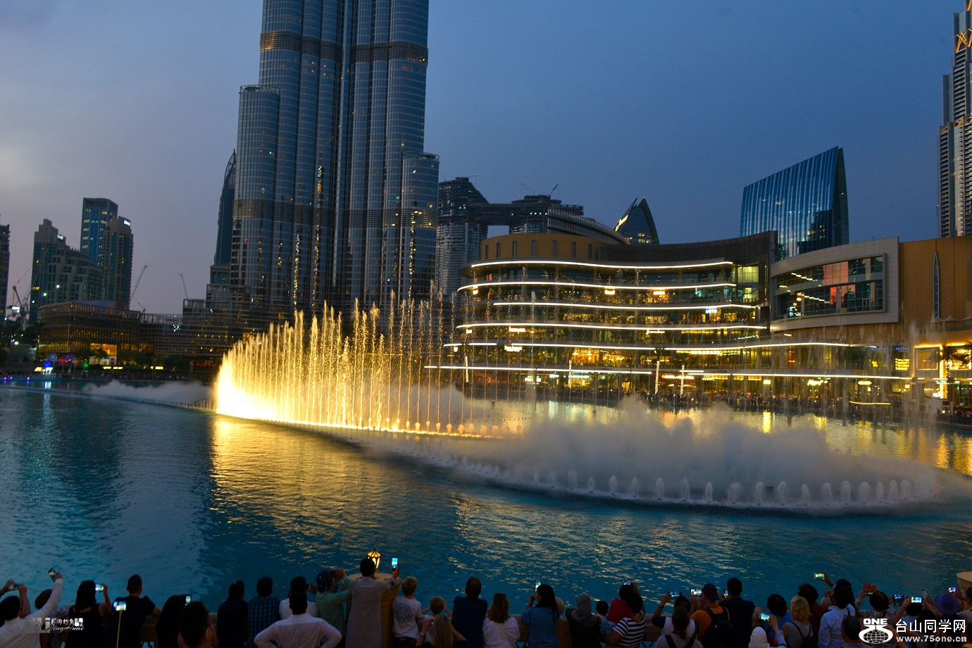DSC_5716_.jpg