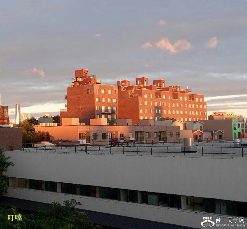 DSC02289b_1.jpg