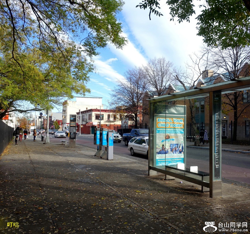 DSC02602a_1.jpg