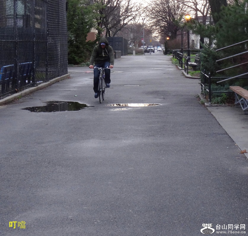 DSC00809b_1.jpg