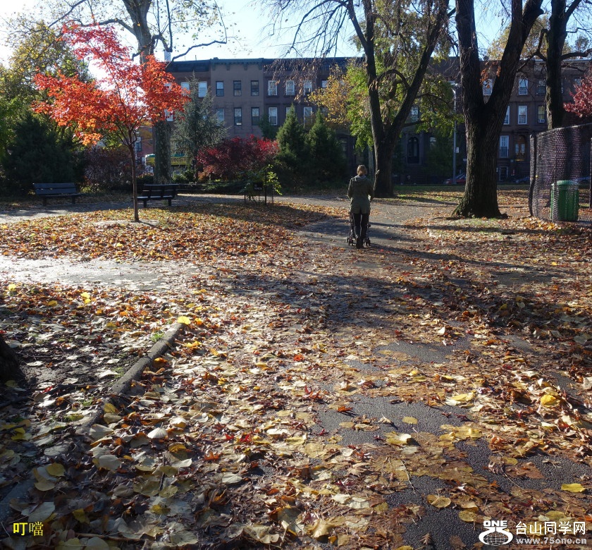 DSC02548a_3.jpg