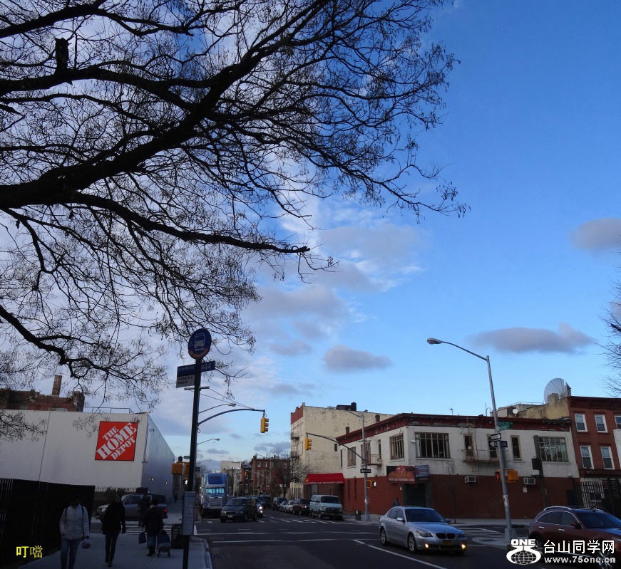 DSC04393b_1.jpg