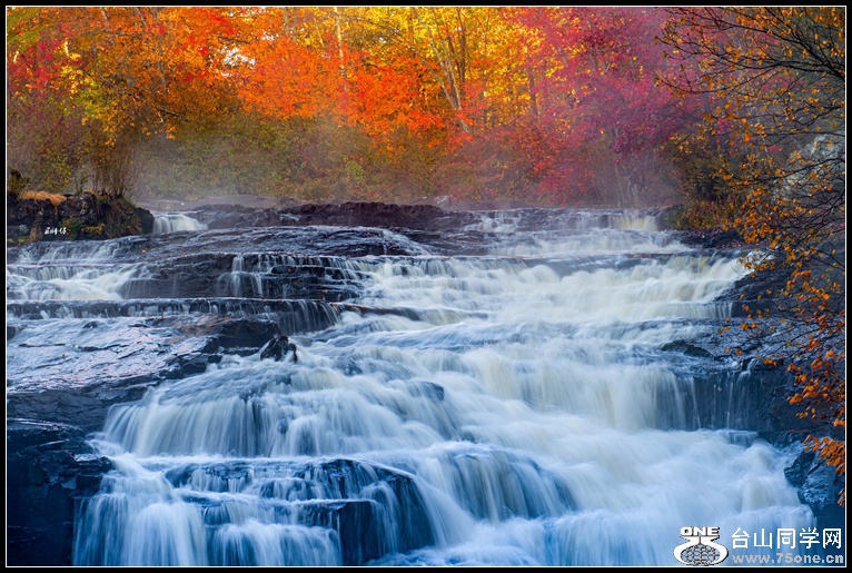 _DSC6981_.jpg