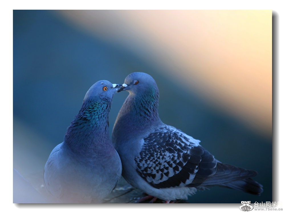 IMG_8239__.jpg