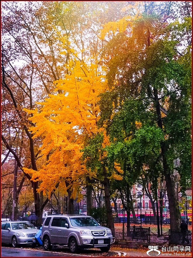 2020-11-13-08-31-45_.jpg