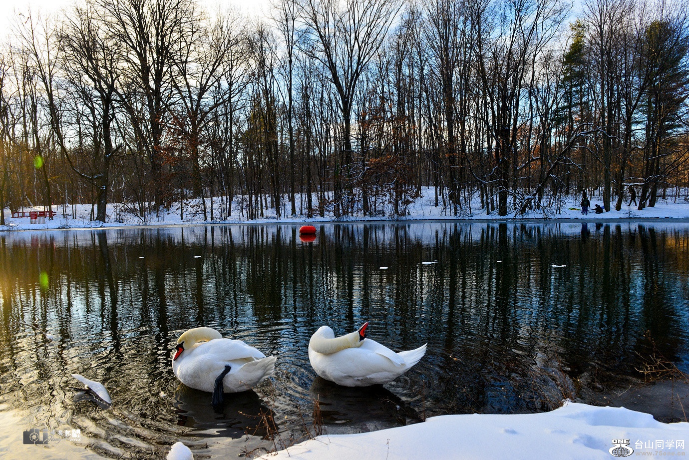DSC_5880.jpg