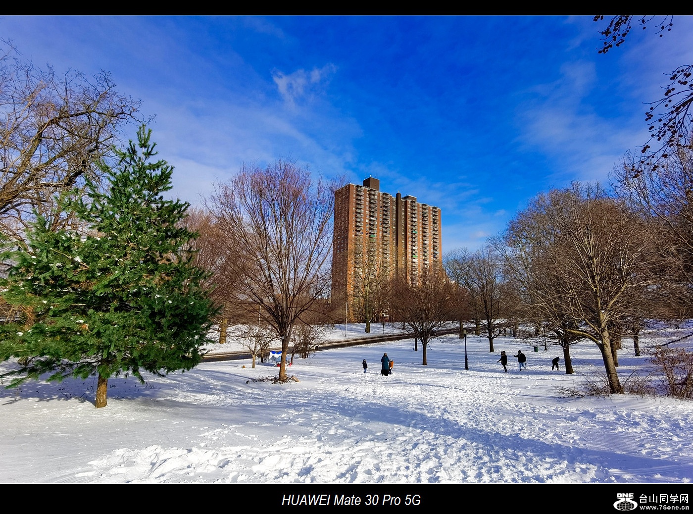 IMG_20201217_140241_.jpg