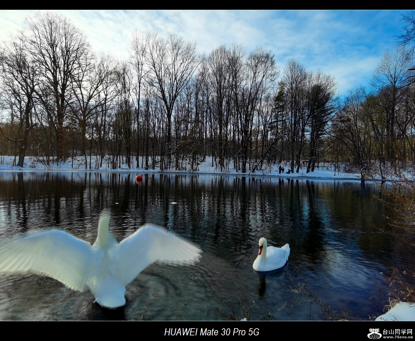IMG_20201217_153437.jpg