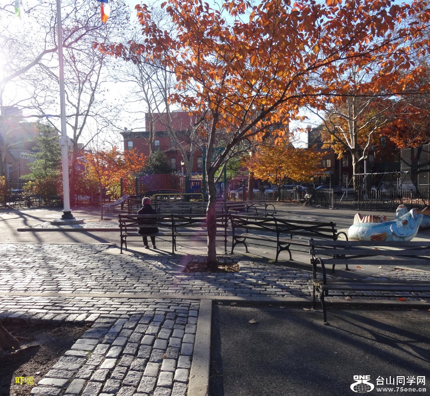 DSC08102b_1.jpg