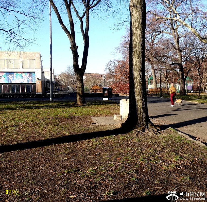 DSC08438d_1.jpg