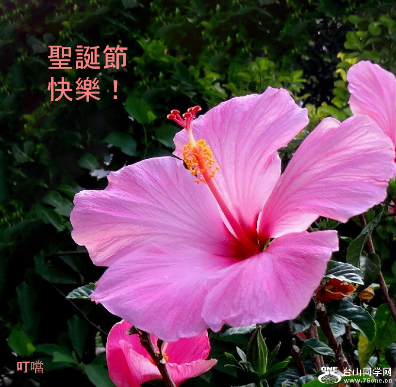 DSC03306a_1.jpg