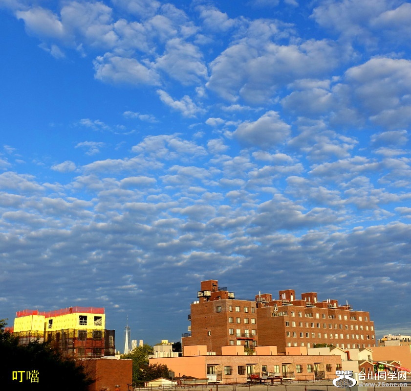 DSC02302b_1.jpg