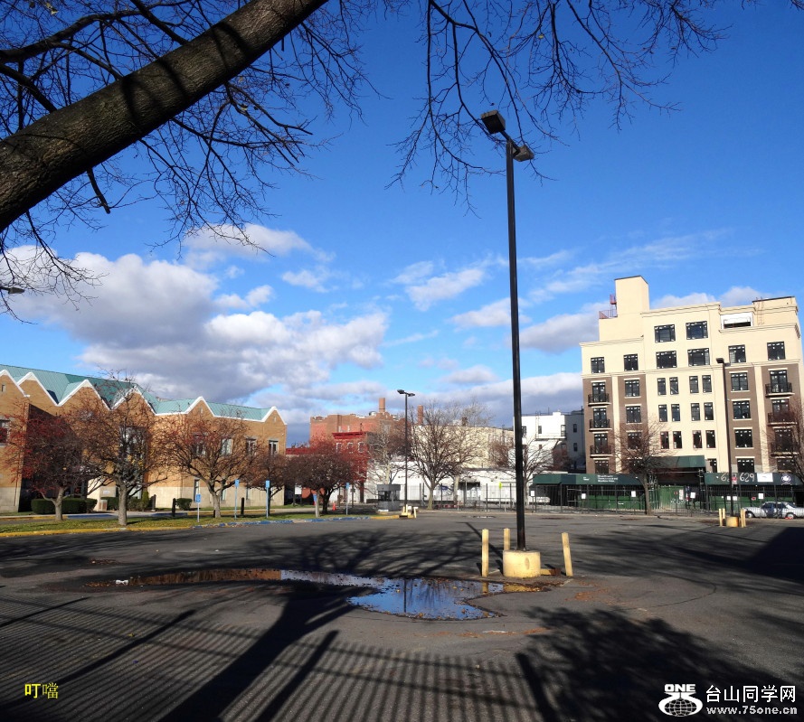 DSC08168a_1.jpg