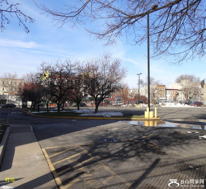 DSC01146b_1.jpg