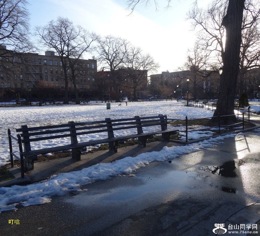 DSC01101z_1.jpg