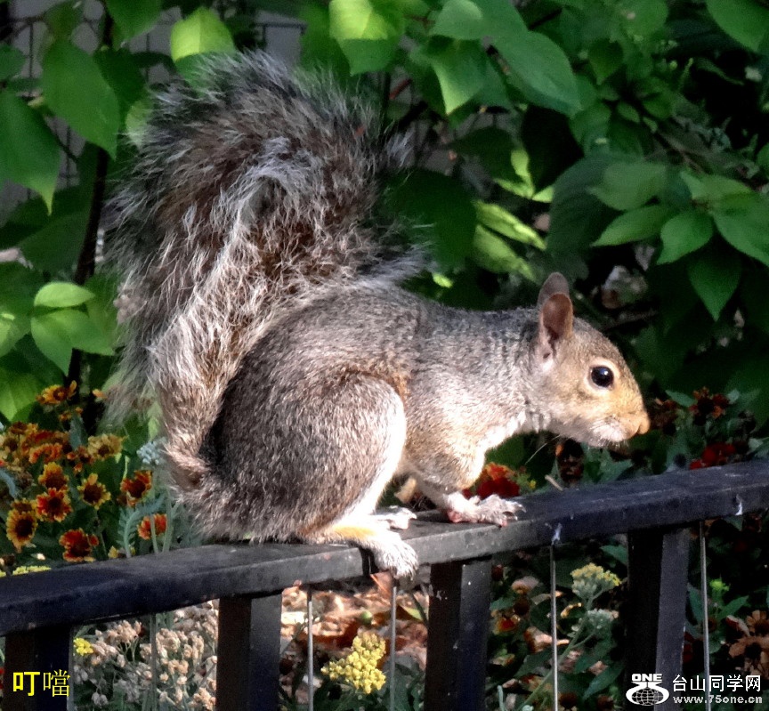 DSC07057a_1.jpg