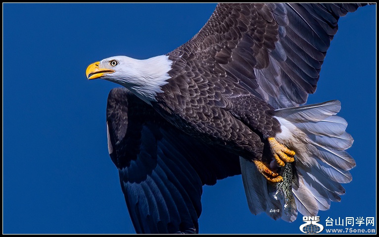 _DSC5822_.jpg