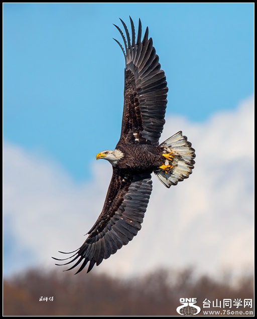 _DSC5439_.jpg