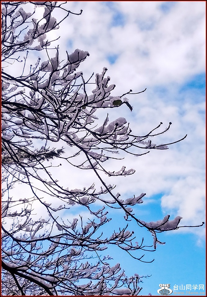 20170310_143927.jpg