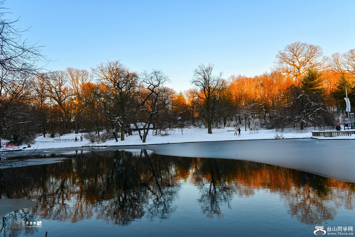 DSC_5911.jpg