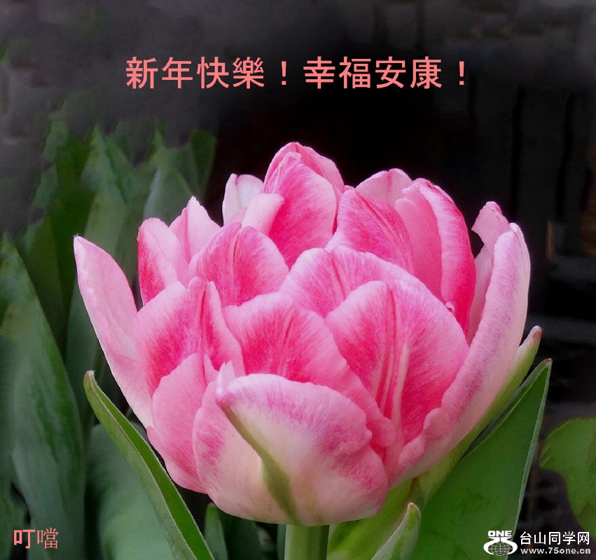 DSC00304f1_1.jpg