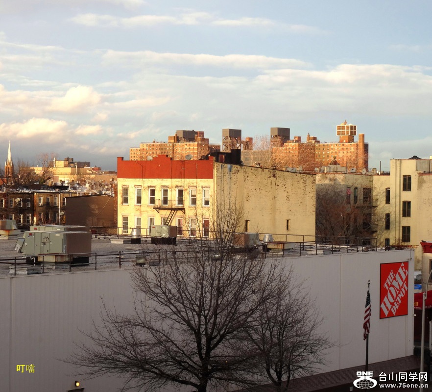 DSC01391b_1.jpg