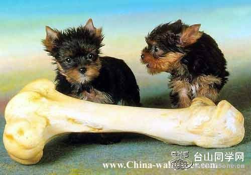 clip_image003[1].jpg