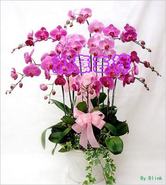 \"/data/attachment/forum/pw/bbsxp/2010-2/2010212205547.jpg"