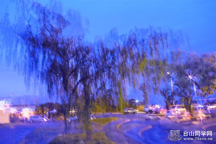 CSC_0254 (4) (Custom).jpg