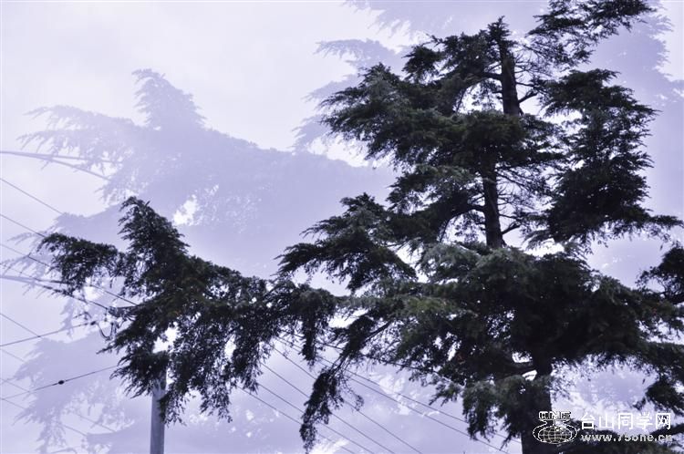 CSC_0479 (Custom).jpg